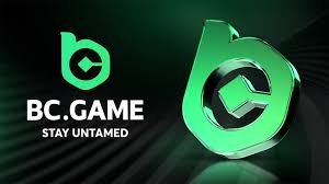 Experience Thrills and Excitement at BC Game Casino